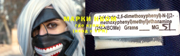 крисы Новокубанск