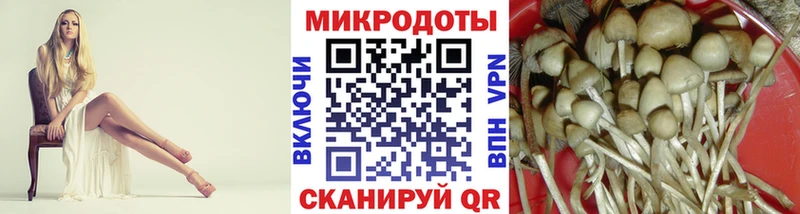 Купить Весьегонск Галлюциногенные грибы Cubensis